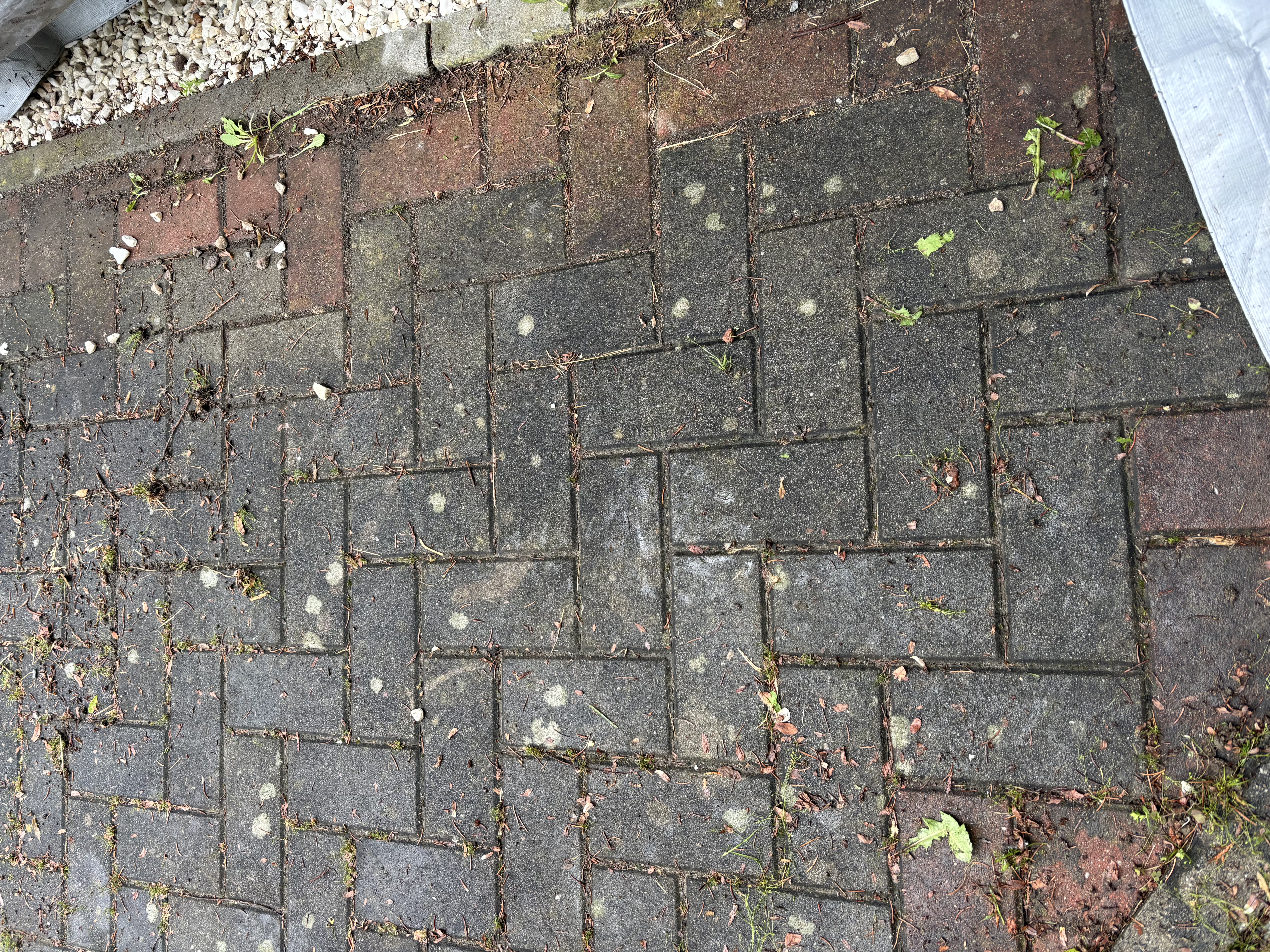 Kompleksowe mycie kostki brukowej i uzupełnienie fug – Kłodzko, ul. Walecznych – zdjęcie 1